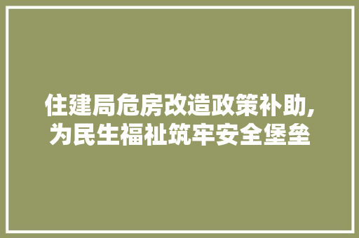 住建局危房改造政策补助,为民生福祉筑牢安全堡垒 隔断设计