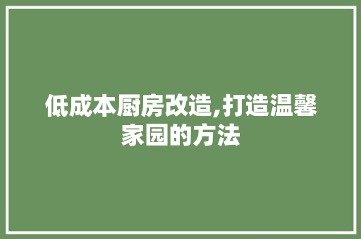 低成本厨房改造,打造温馨家园的方法