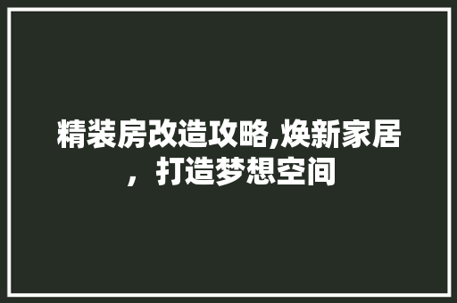 精装房改造攻略,焕新家居，打造梦想空间