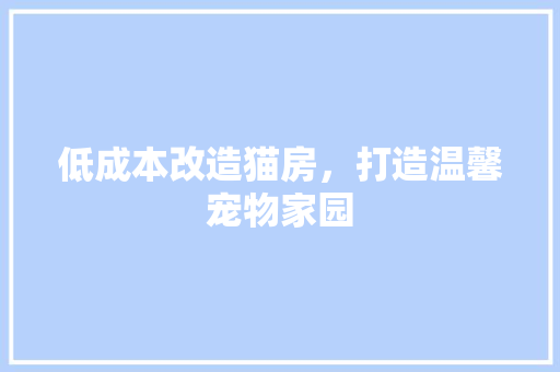 低成本改造猫房，打造温馨宠物家园