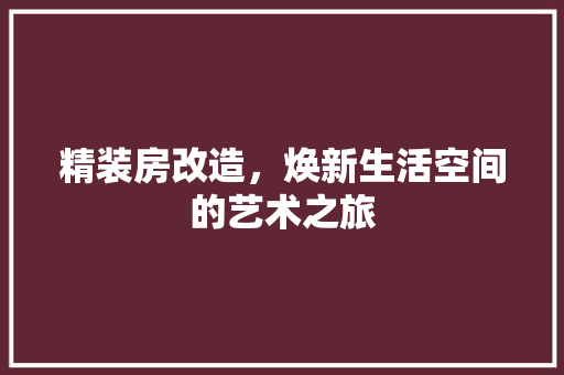 精装房改造，焕新生活空间的艺术之旅