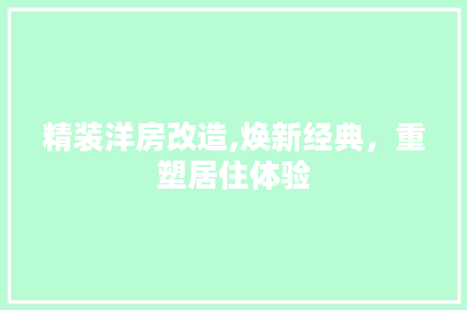 精装洋房改造,焕新经典，重塑居住体验 装修攻略