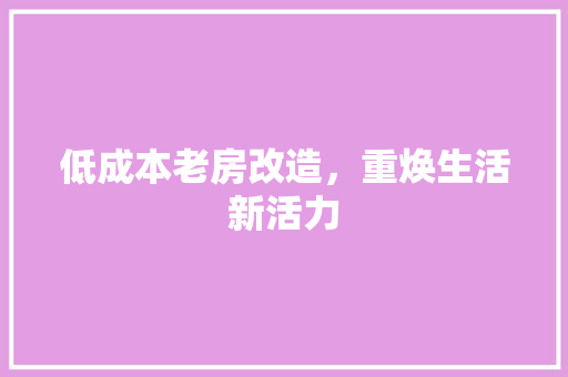 低成本老房改造，重焕生活新活力