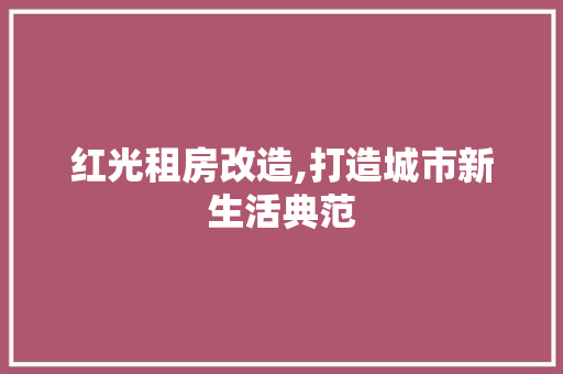 红光租房改造,打造城市新生活典范