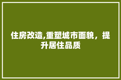 住房改造,重塑城市面貌，提升居住品质