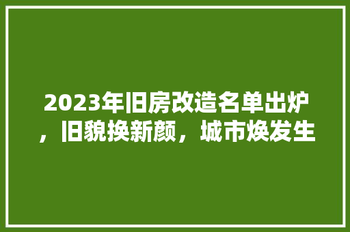 2023年旧房改造名单出炉，旧貌换新颜，城市焕发生机