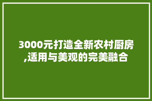 3000元打造全新农村厨房,适用与美观的完美融合
