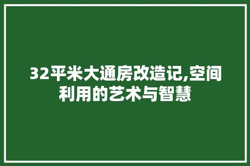 32平米大通房改造记,空间利用的艺术与智慧