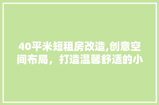 40平米短租房改造,创意空间布局，打造温馨舒适的小窝