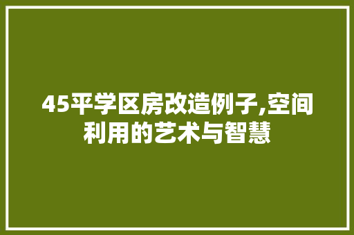 45平学区房改造例子,空间利用的艺术与智慧