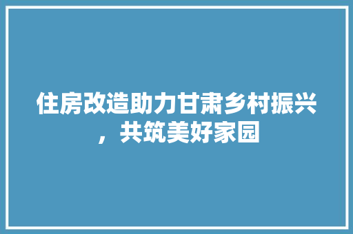 住房改造助力甘肃乡村振兴，共筑美好家园