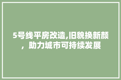 5号线平房改造,旧貌换新颜，助力城市可持续发展