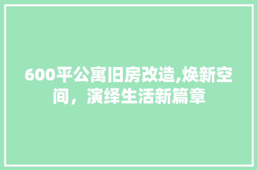 600平公寓旧房改造,焕新空间，演绎生活新篇章