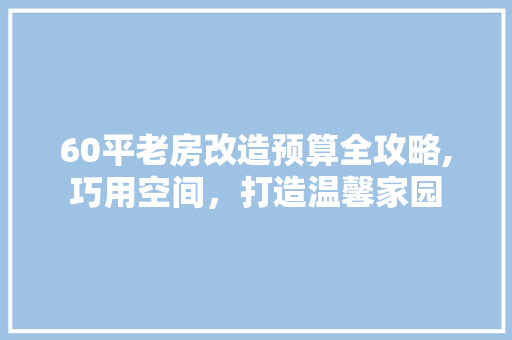 60平老房改造预算全攻略,巧用空间，打造温馨家园