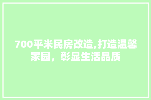700平米民房改造,打造温馨家园，彰显生活品质