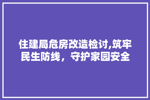 住建局危房改造检讨,筑牢民生防线，守护家园安全