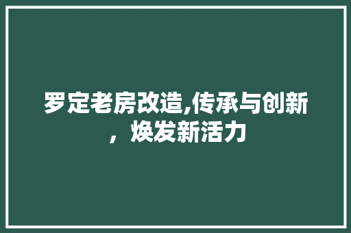 罗定老房改造,传承与创新，焕发新活力