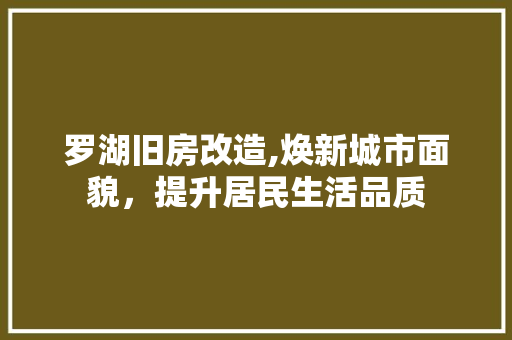 罗湖旧房改造,焕新城市面貌，提升居民生活品质