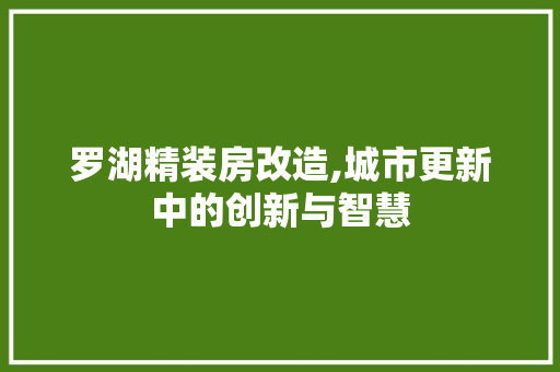 罗湖精装房改造,城市更新中的创新与智慧
