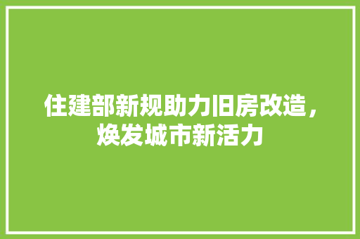 住建部新规助力旧房改造，焕发城市新活力