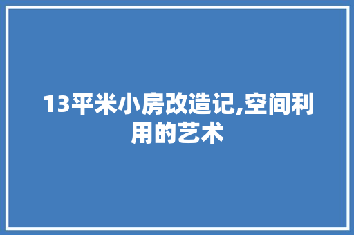 13平米小房改造记,空间利用的艺术