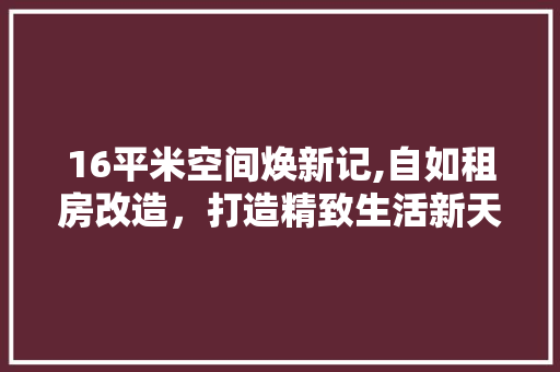 16平米空间焕新记,自如租房改造，打造精致生活新天地