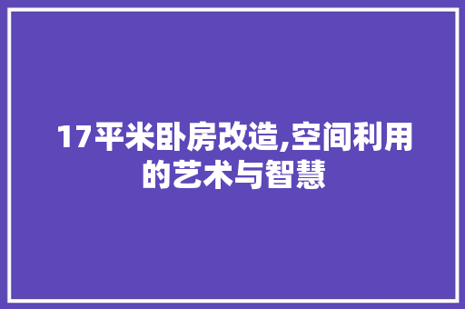 17平米卧房改造,空间利用的艺术与智慧