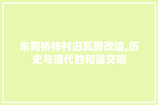 东莞桥梓村旧瓦房改造,历史与现代的和谐交响