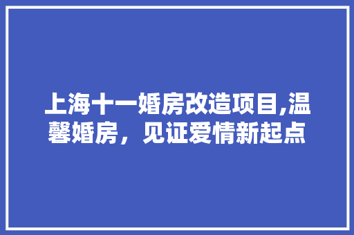 上海十一婚房改造项目,温馨婚房，见证爱情新起点