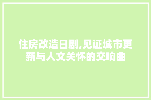 住房改造日剧,见证城市更新与人文关怀的交响曲