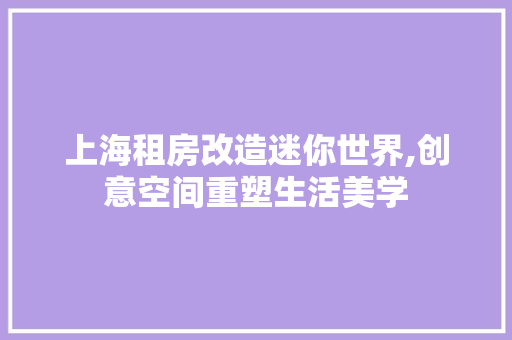 上海租房改造迷你世界,创意空间重塑生活美学