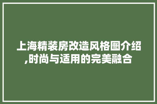 上海精装房改造风格图介绍,时尚与适用的完美融合