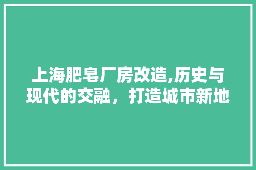 上海肥皂厂房改造,历史与现代的交融，打造城市新地标