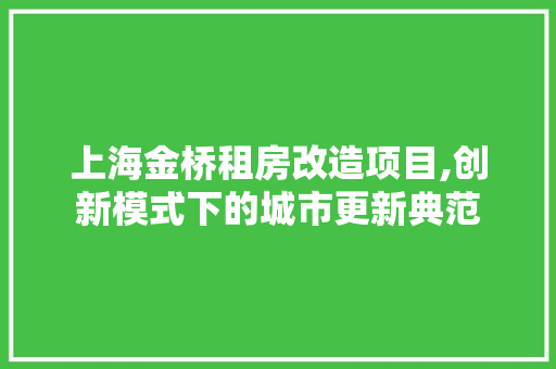 上海金桥租房改造项目,创新模式下的城市更新典范