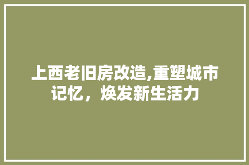 上西老旧房改造,重塑城市记忆，焕发新生活力