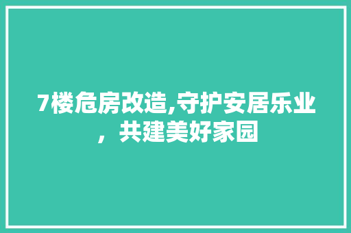 7楼危房改造,守护安居乐业，共建美好家园
