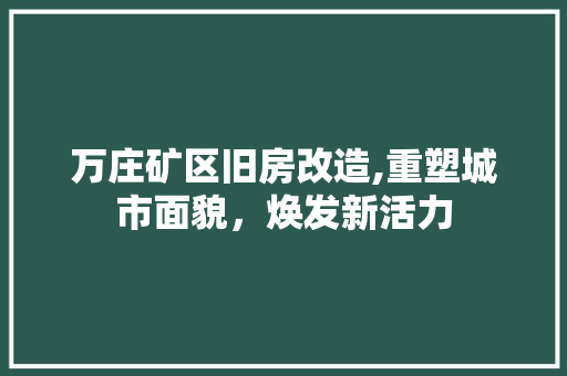 万庄矿区旧房改造,重塑城市面貌，焕发新活力