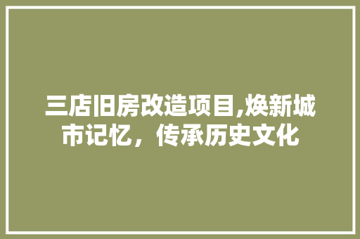 三店旧房改造项目,焕新城市记忆，传承历史文化