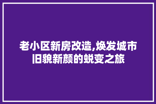 老小区新房改造,焕发城市旧貌新颜的蜕变之旅