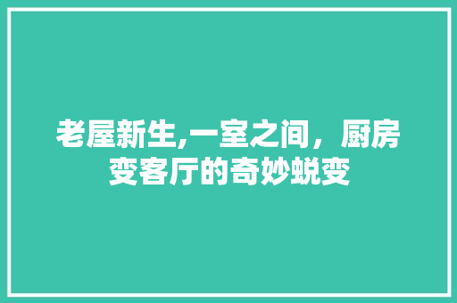 老屋新生,一室之间，厨房变客厅的奇妙蜕变