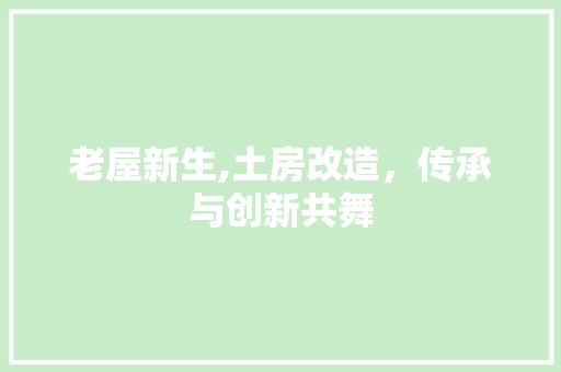 老屋新生,土房改造，传承与创新共舞
