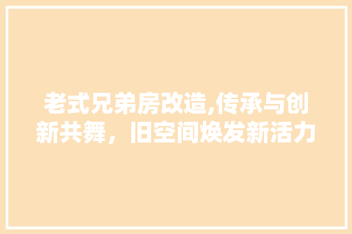 老式兄弟房改造,传承与创新共舞，旧空间焕发新活力