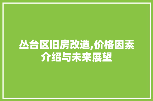 丛台区旧房改造,价格因素介绍与未来展望