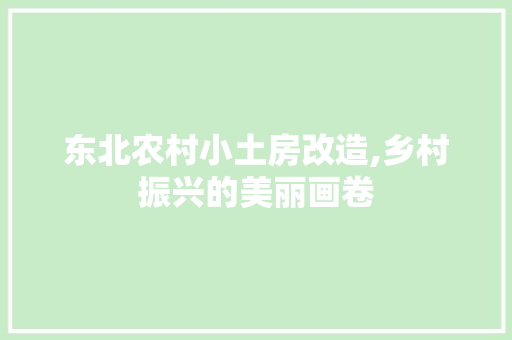 东北农村小土房改造,乡村振兴的美丽画卷