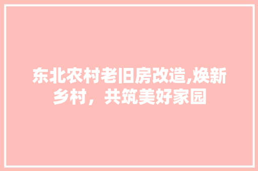 东北农村老旧房改造,焕新乡村，共筑美好家园