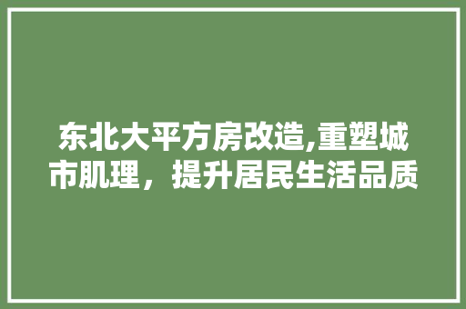 东北大平方房改造,重塑城市肌理，提升居民生活品质