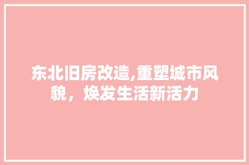 东北旧房改造,重塑城市风貌，焕发生活新活力