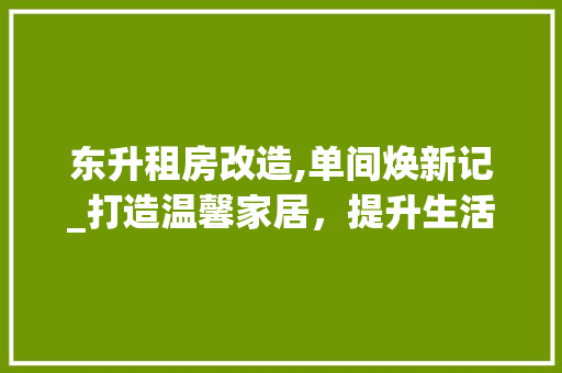 东升租房改造,单间焕新记_打造温馨家居，提升生活品质