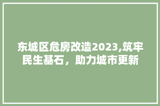 东城区危房改造2023,筑牢民生基石，助力城市更新