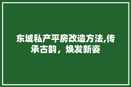 东城私产平房改造方法,传承古韵，焕发新姿